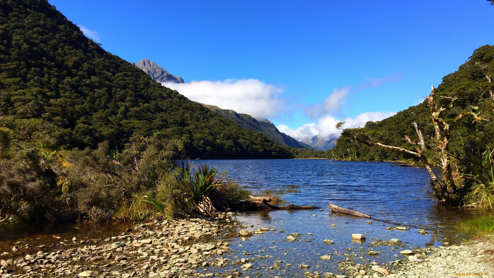 lake mackenzie, queensland, australia, , , , lake, mackenzie